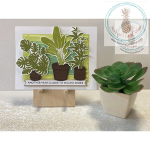 Potted Plants Birthday Cards Another Year Closer To Velcro Shoes Greeting Card