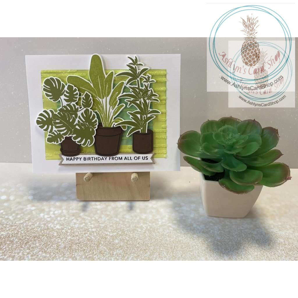 Potted Plants Birthday Cards Happy From All Of Us Greeting Card