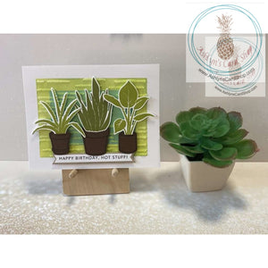 Potted Plants Birthday Cards Happy Hot Stuff Greeting Card