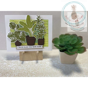 Potted Plants Birthday Cards Im So Glad You Were Born Greeting Card