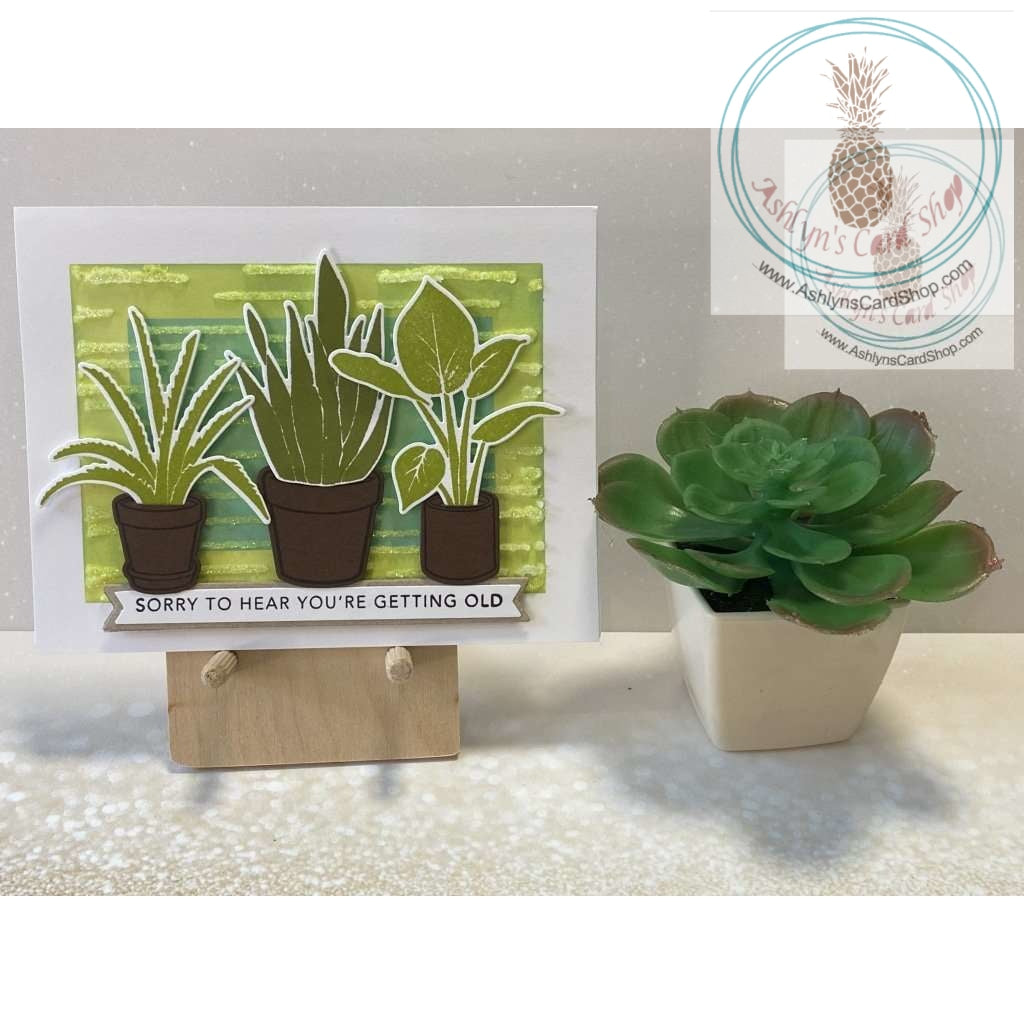 Potted Plants Birthday Cards Sorry To Hear Youre Getting Old Greeting Card