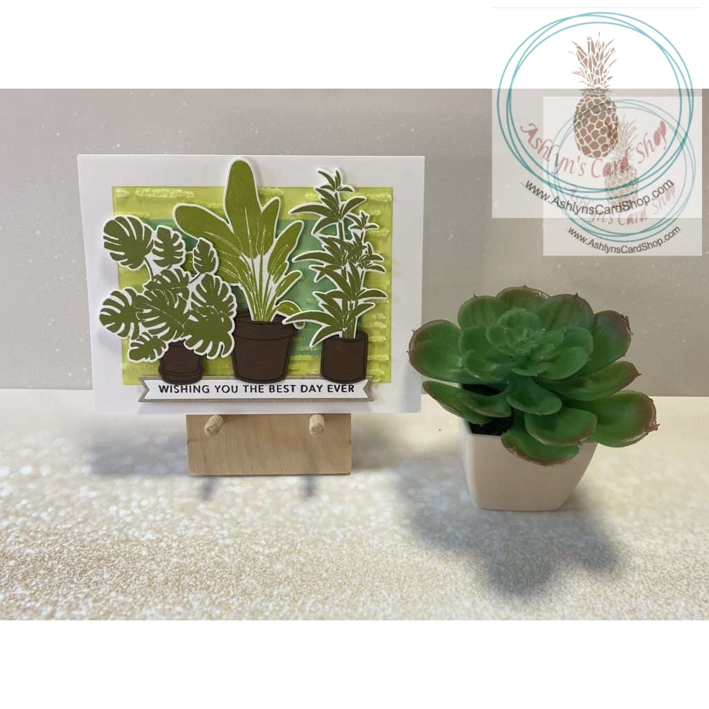 Potted Plants Birthday Cards Wishing You The Best Day Ever Greeting Card