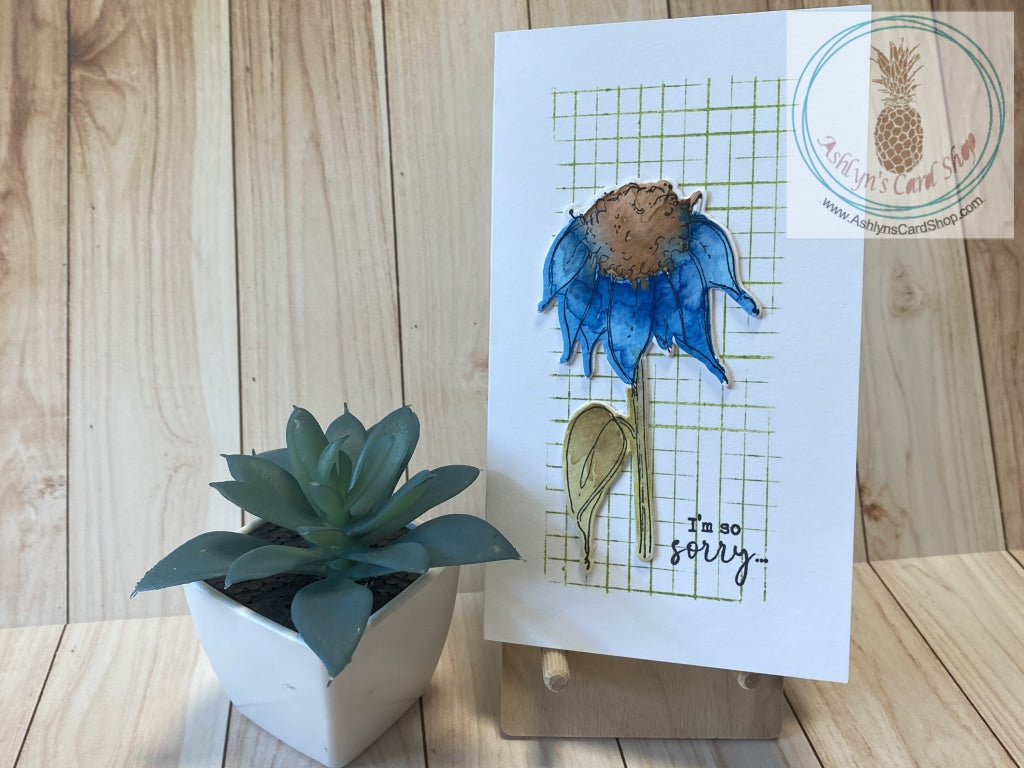 Watercolour Floral Sympathy Cards - A watercoloured coneflower on a white card front stamped with a rustic looking green grid pattern.  External sentiment reads "I'm so sorry . . ." and the internal sentiment reads "may hope fill your heart today".  Card size is 3.5 x 6" (mini slim)  Coordinating No. 8 envelope included